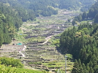 景色が最高だわ(*^^*)