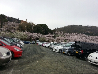 今日も頑張ります＼(^o^)／